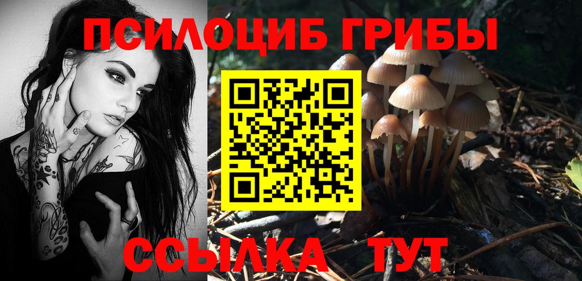 Галлюциногенные грибы Psilocybine cubensis  Вход с VPN  Галлюциногенные грибы MAGIC MUSHROOMS  Родники 